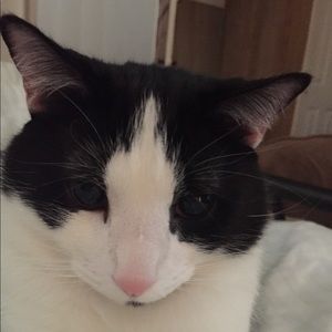 Meet your Posher, Samantha